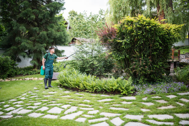 Best Ant Control Services  in West Salem, WI