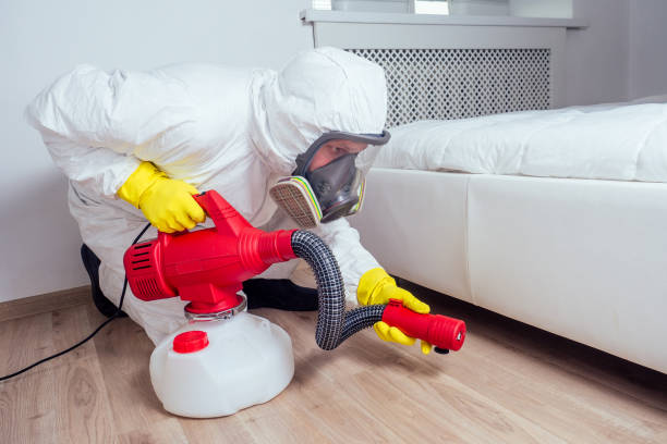 Best Wasp Removal Services  in West Salem, WI