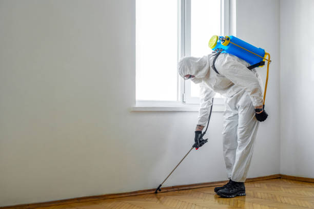 Wildlife Control Services in West Salem, WI