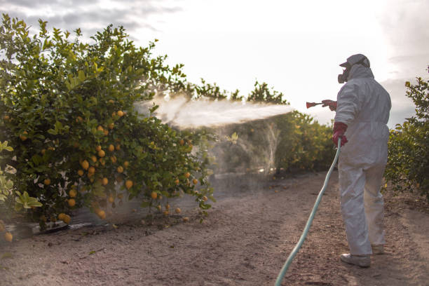 Best Cockroach Control Services  in West Salem, WI