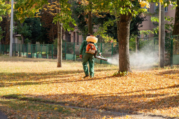 Trusted West Salem, WI Pest Control Experts