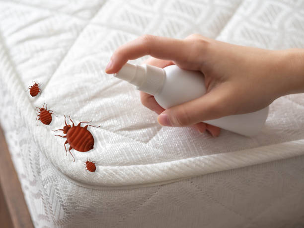 Flea Control Services in West Salem, WI