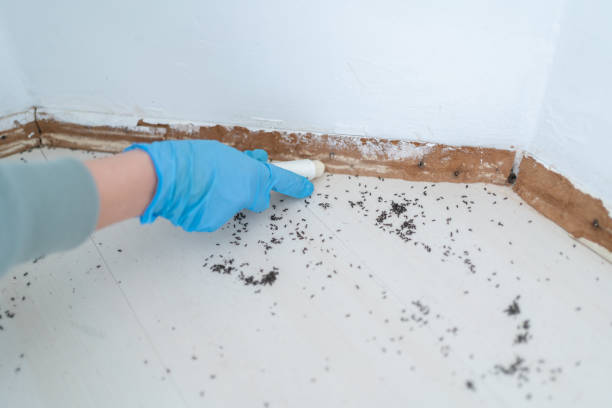 Best Pest Control Treatment  in West Salem, WI