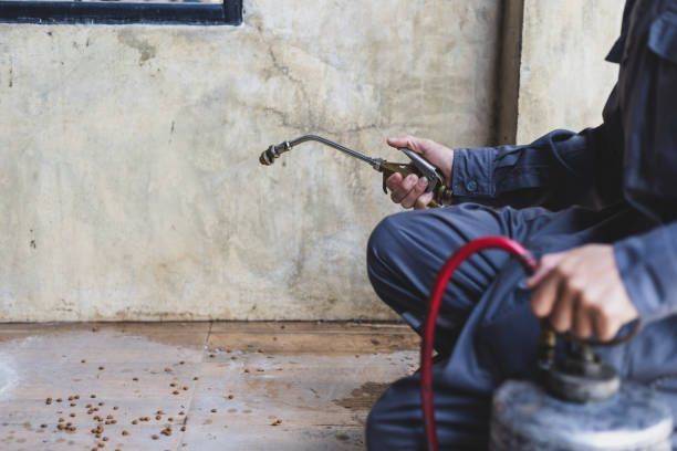Best Pest Control Near Me  in West Salem, WI