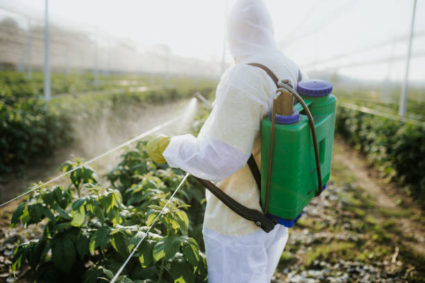 Best Best Pest Control Companies  in West Salem, WI